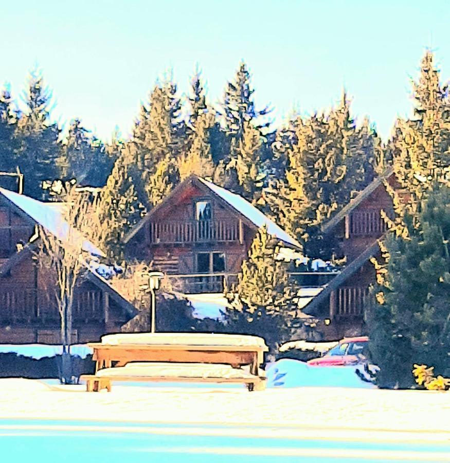 فيلا Maison De Bois Finlandaise Au Pied Des Pistes Bolquere Pyrenees 2000 المظهر الخارجي الصورة